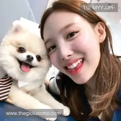 卓阳笛